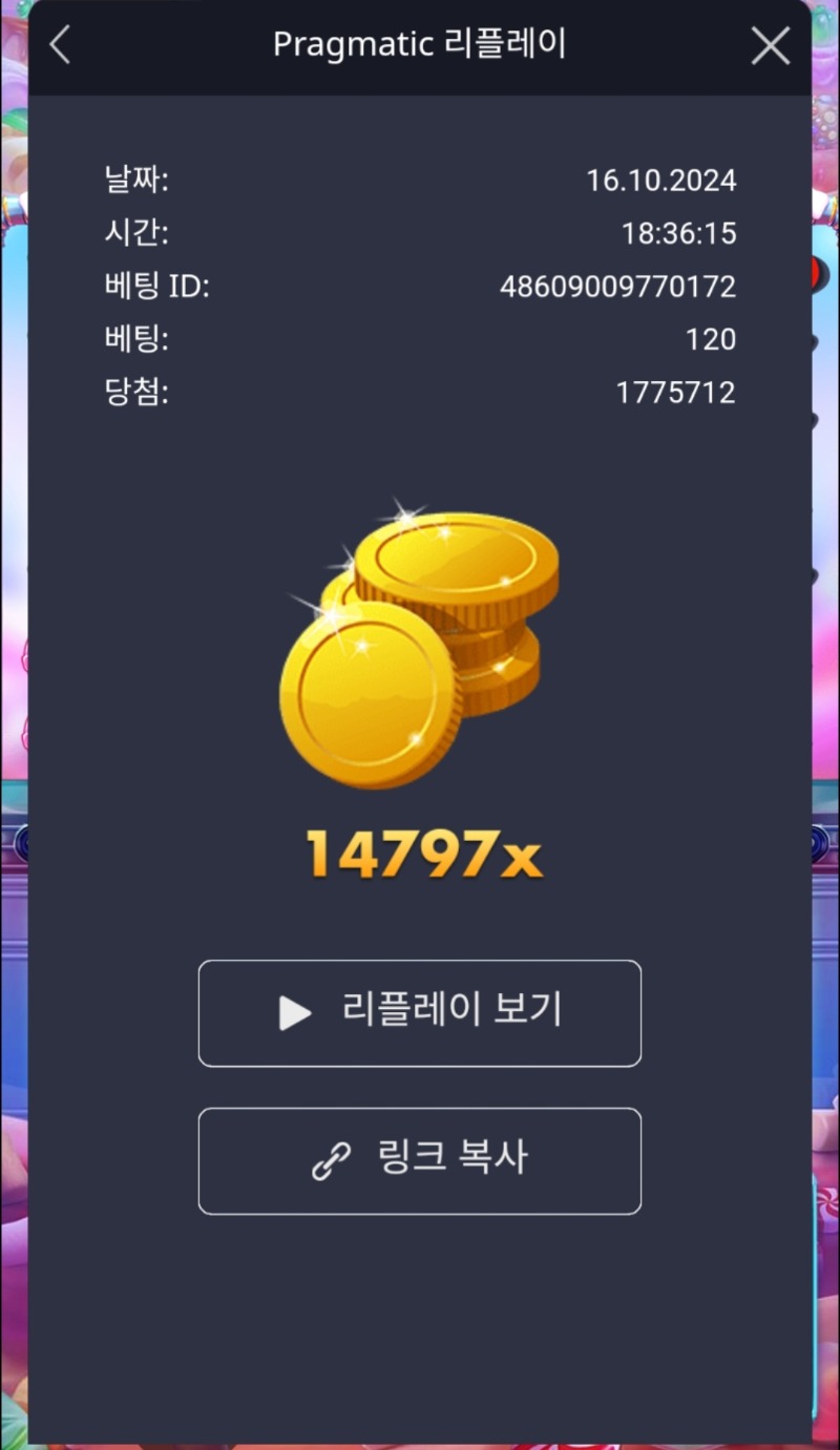 슈천 14797