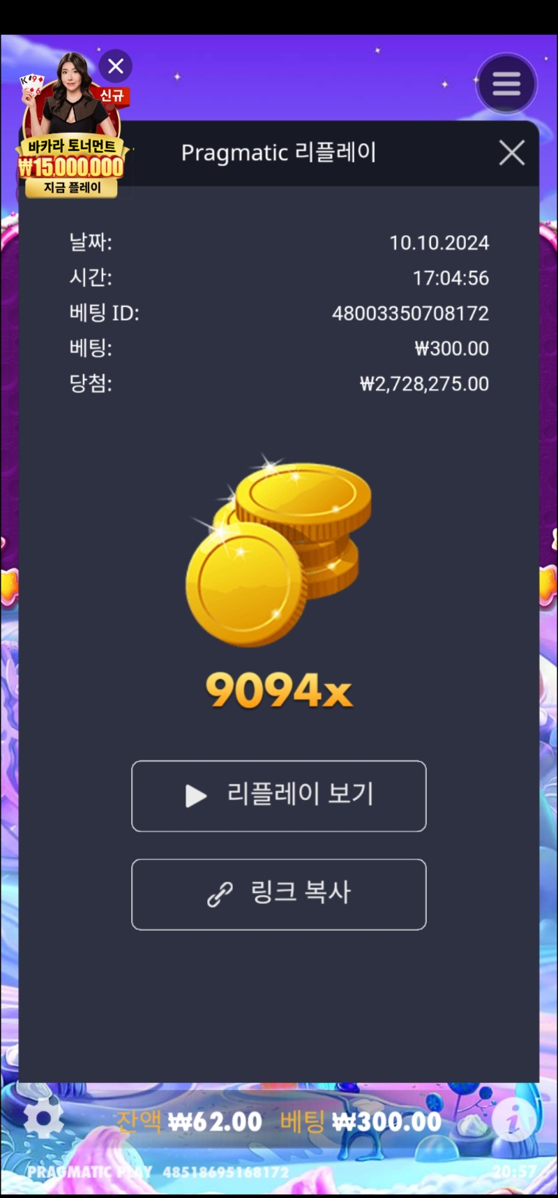 보난자 1000   9094배