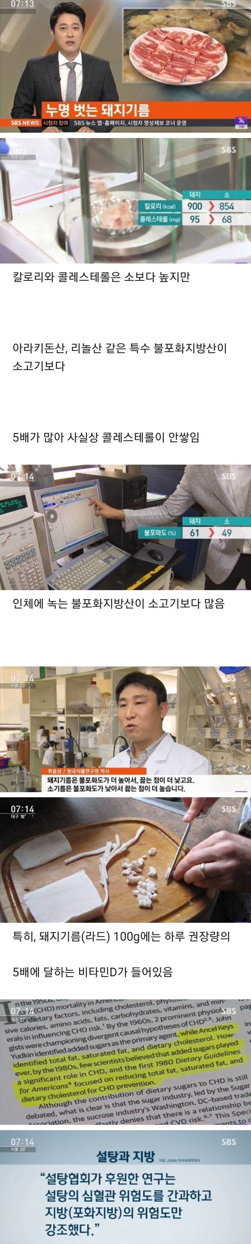 누명벗는 돼지고기