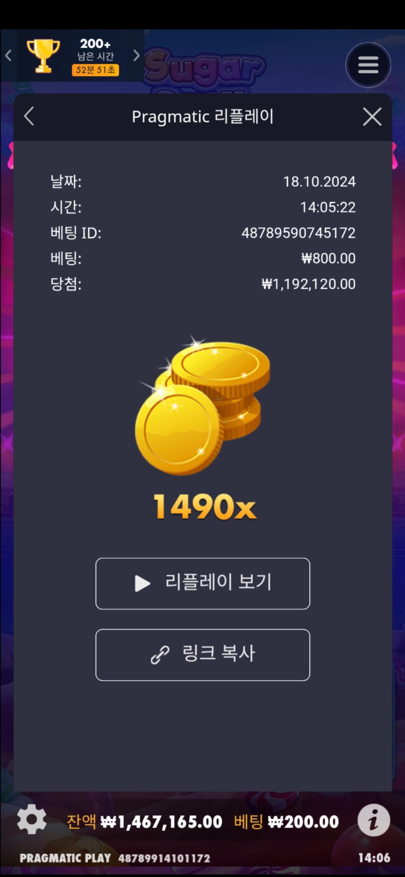 슈가 1000 일반 1490배