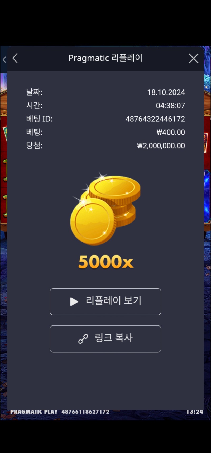 마담5000배