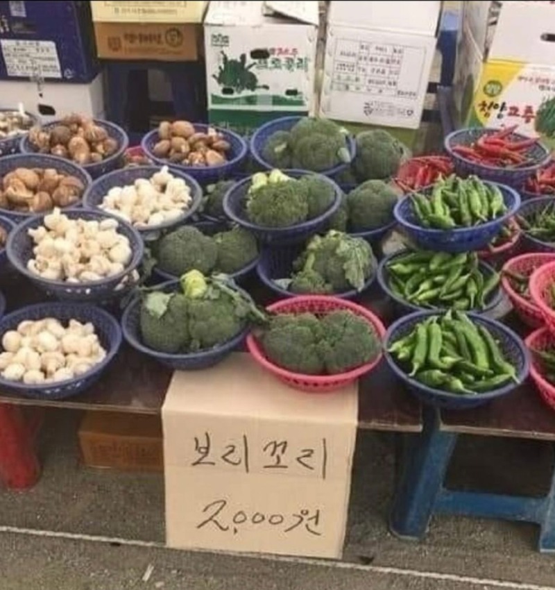 별명많은 야채