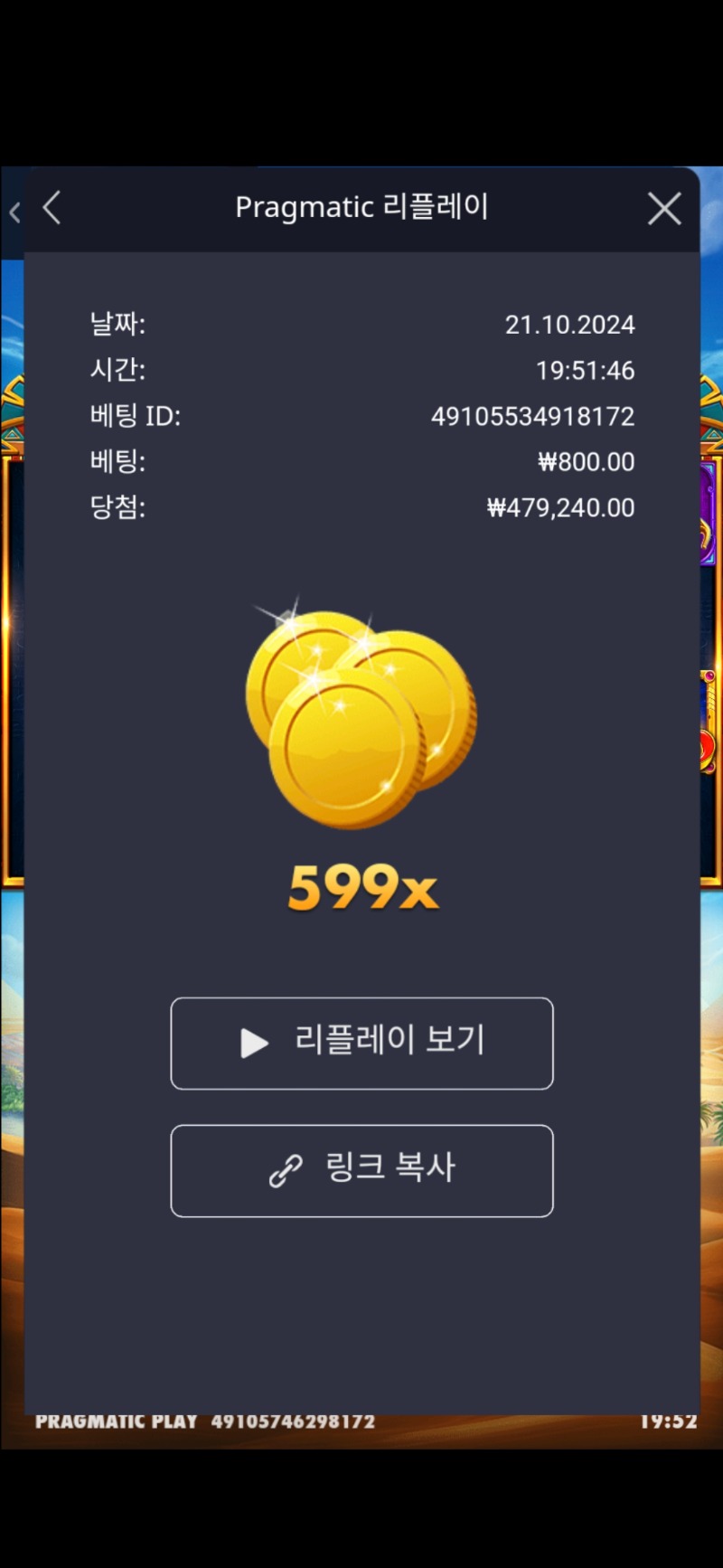 캣트라 599배