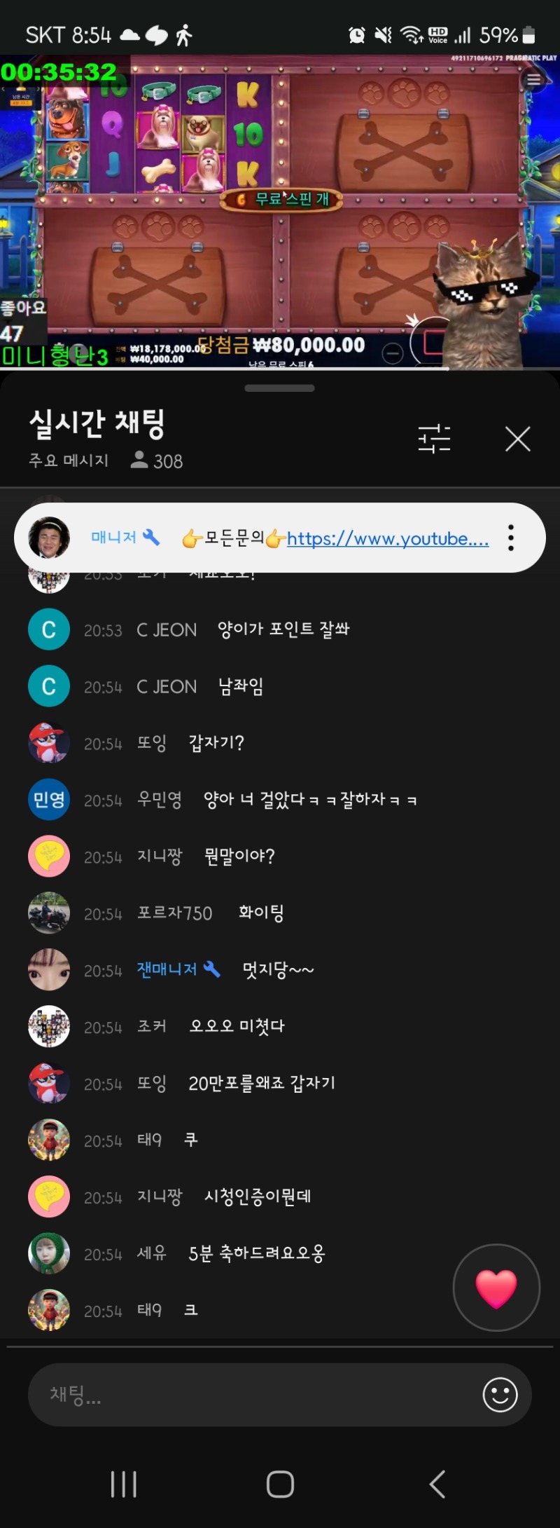 냥이 형 이겨라!!시청 인증~~