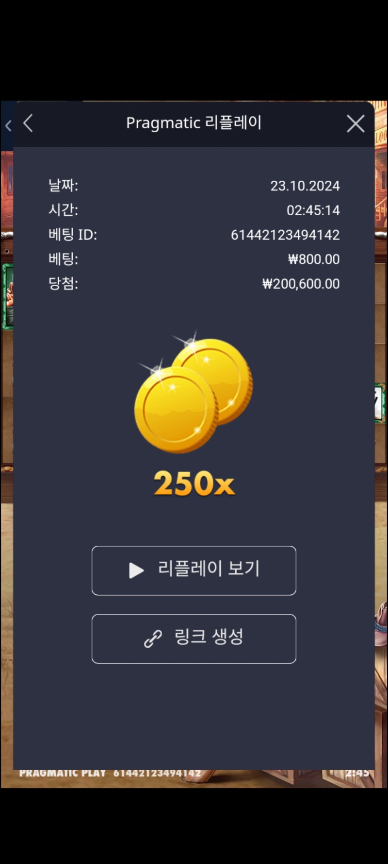 와일드웨스트메가250배