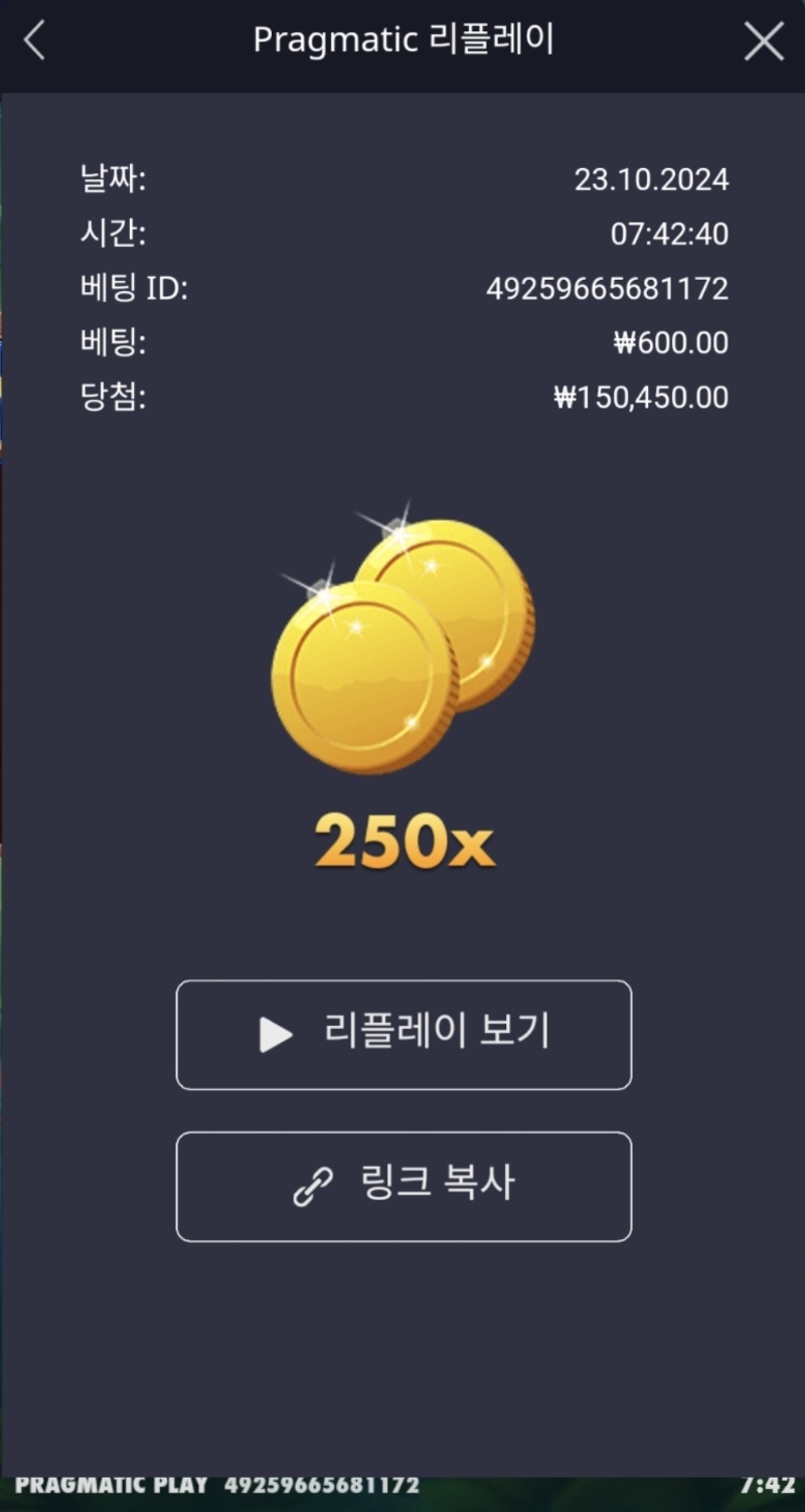 3버징와일드 250배