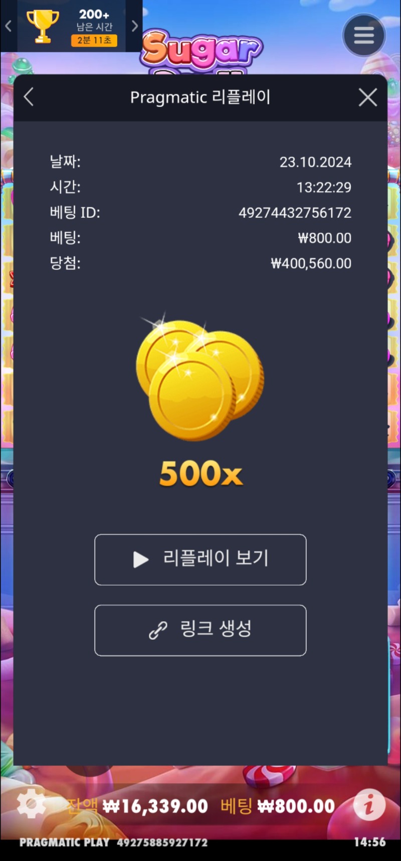 슈천 500배