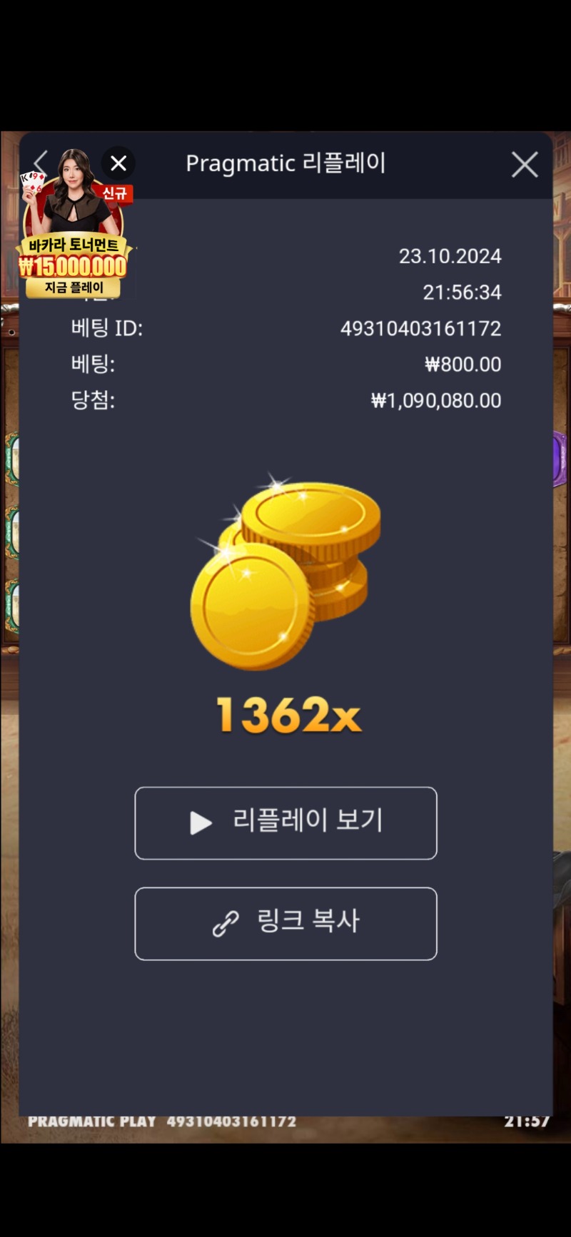 와웨골 1362배