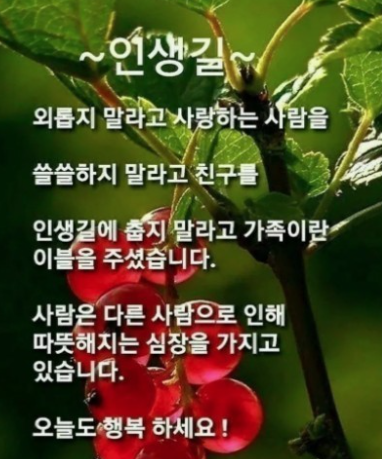 좋은글~~우리에게는 슬카가족이 있네요~~