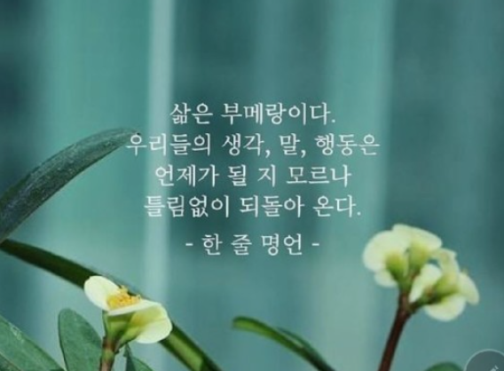 읽으면 좋은글~~~8