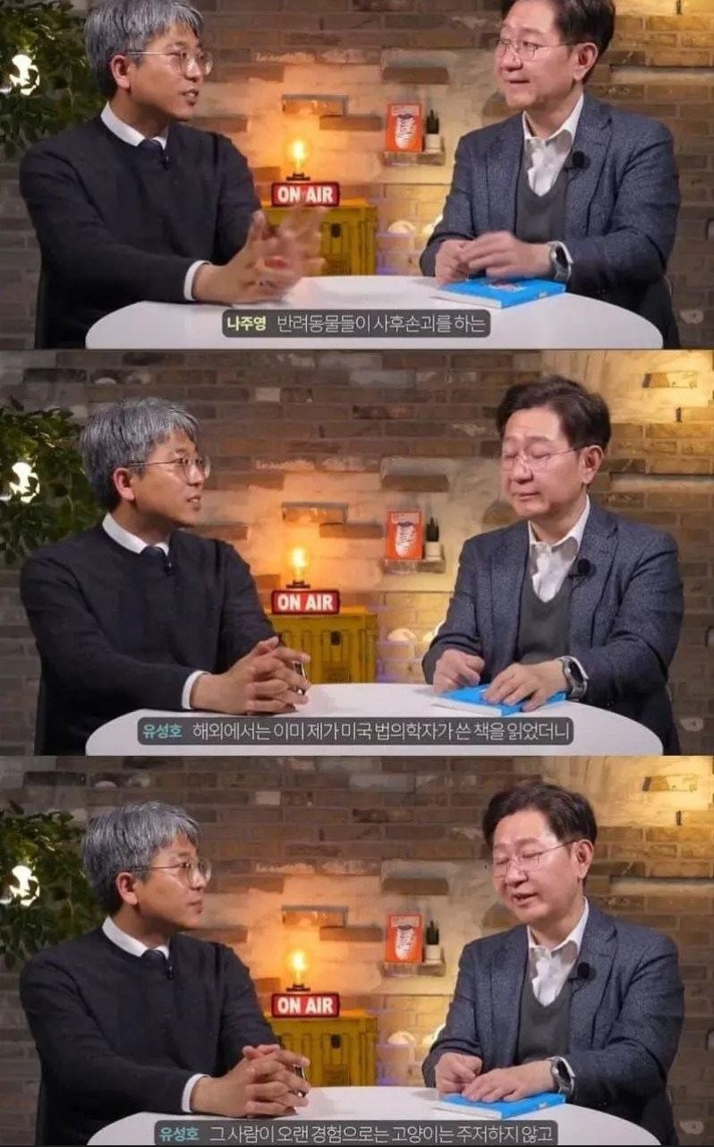 법의학자들이 자주 본다는 구멍뚫린 시신