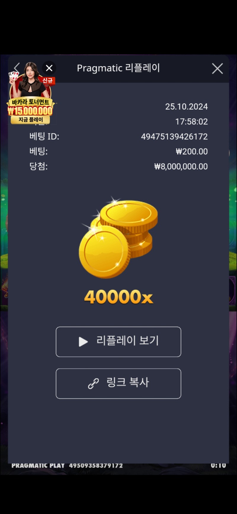 멀린40000배