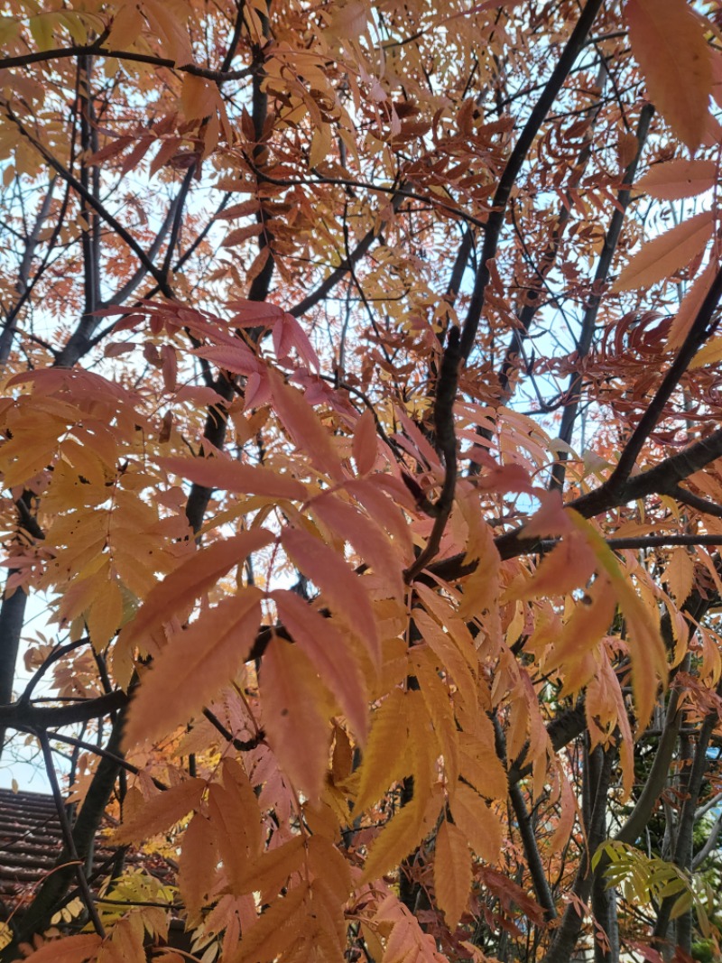 아이들과 산책