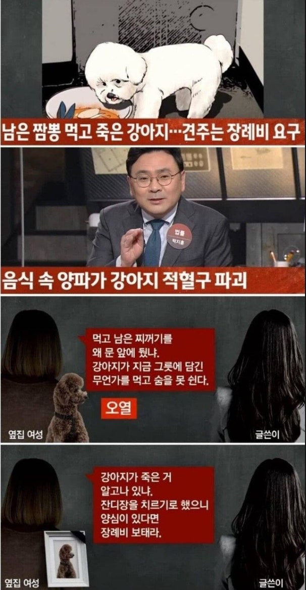 짬뽕그릇 내놨는데 먹고 죽은 강아지