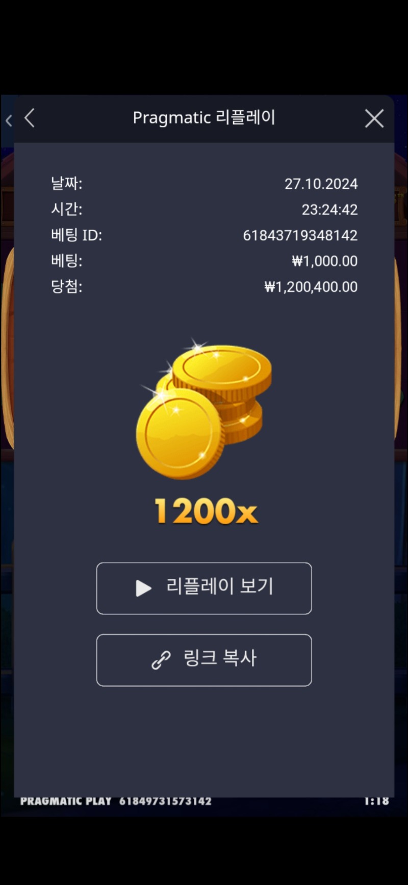 개집 메가 1200배