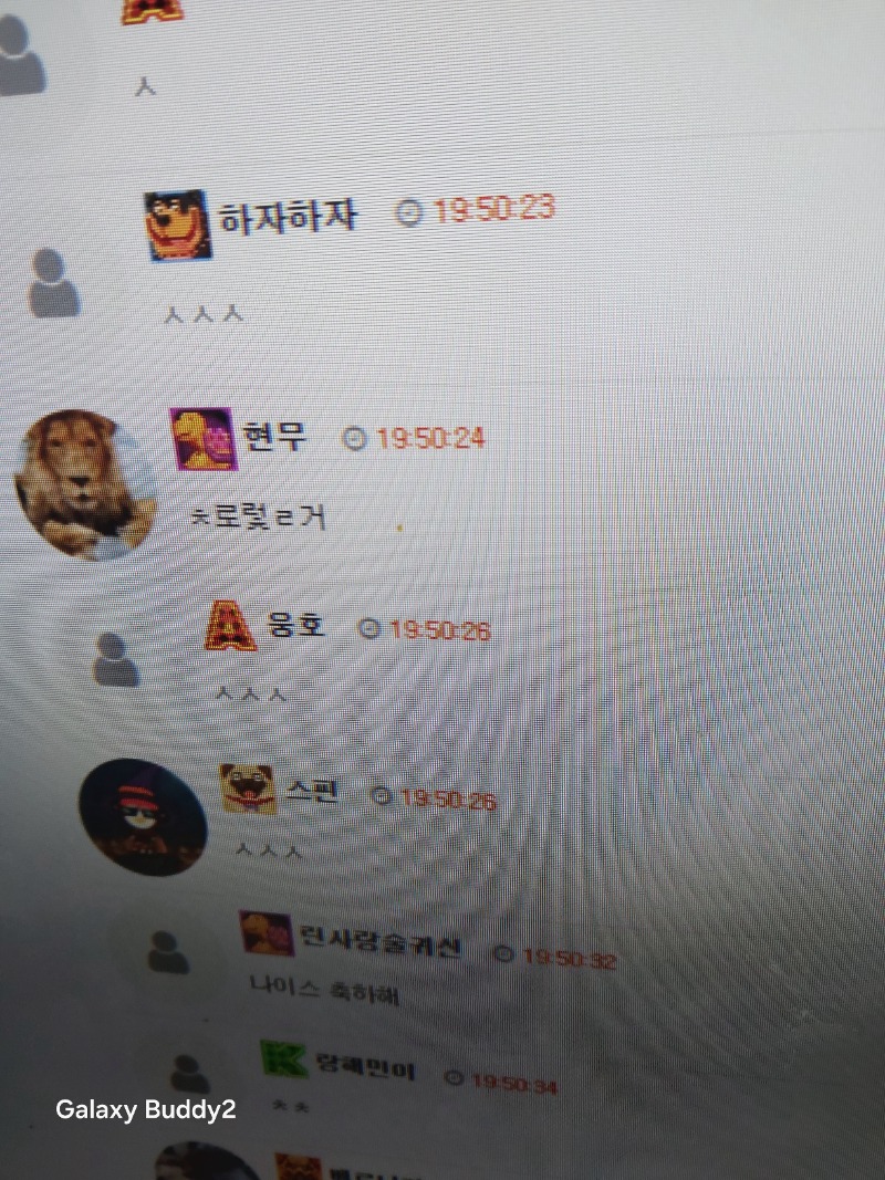 양이님  수익 20만포