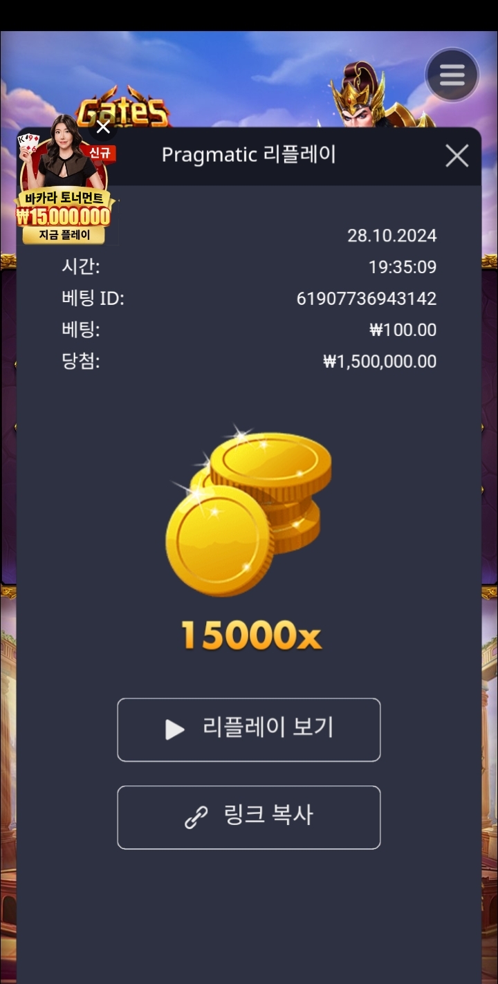 가토1000 15000배