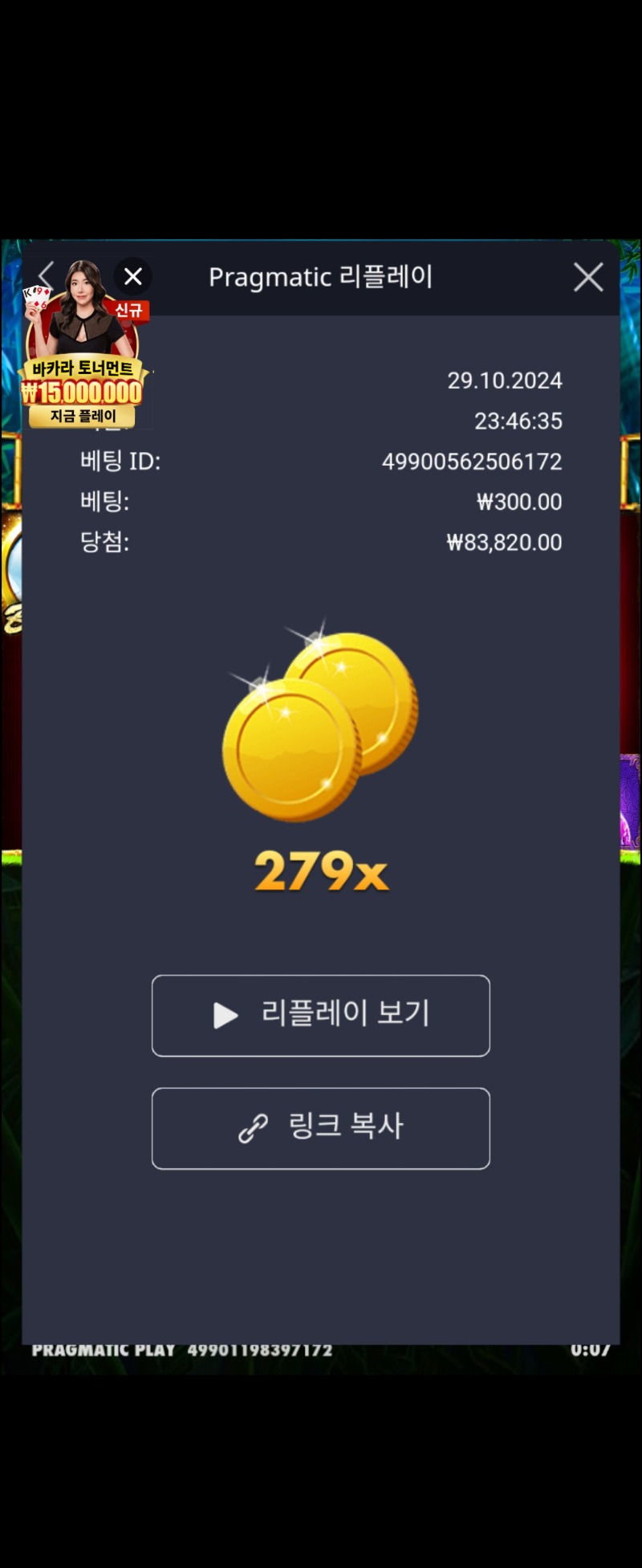 판다1 279배