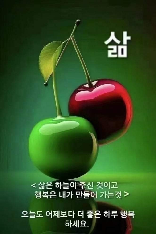 멋진 배경사진가시죠