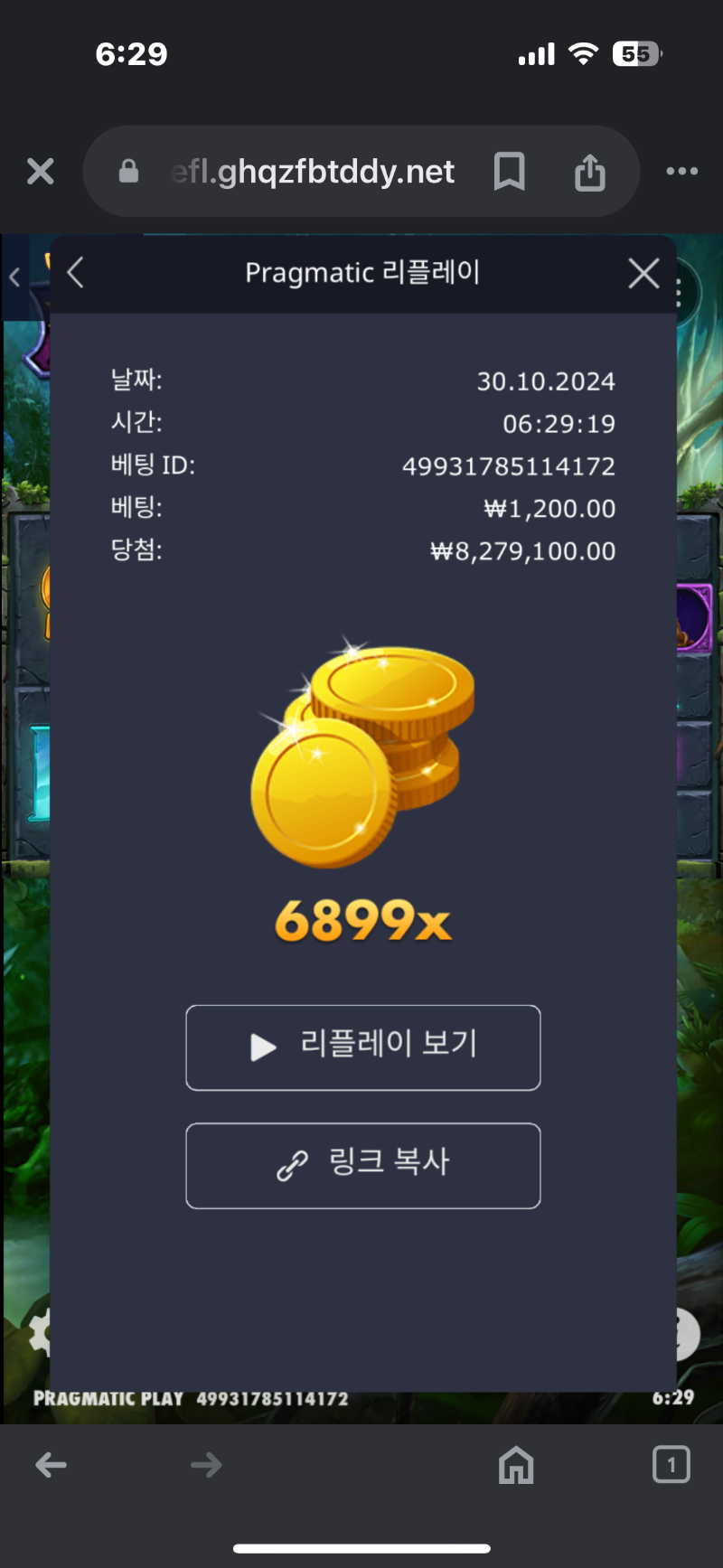 멀린6899