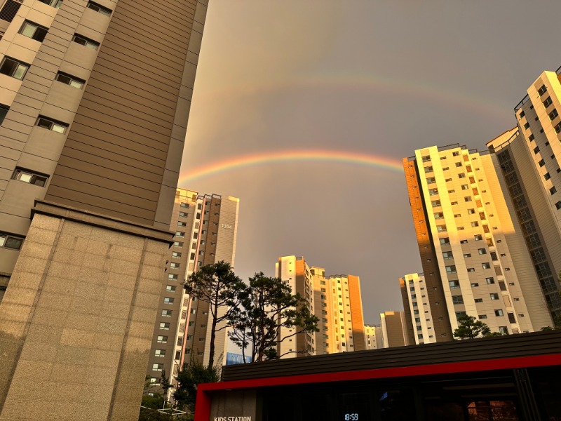 직접 찍은 무지개사진~~가자