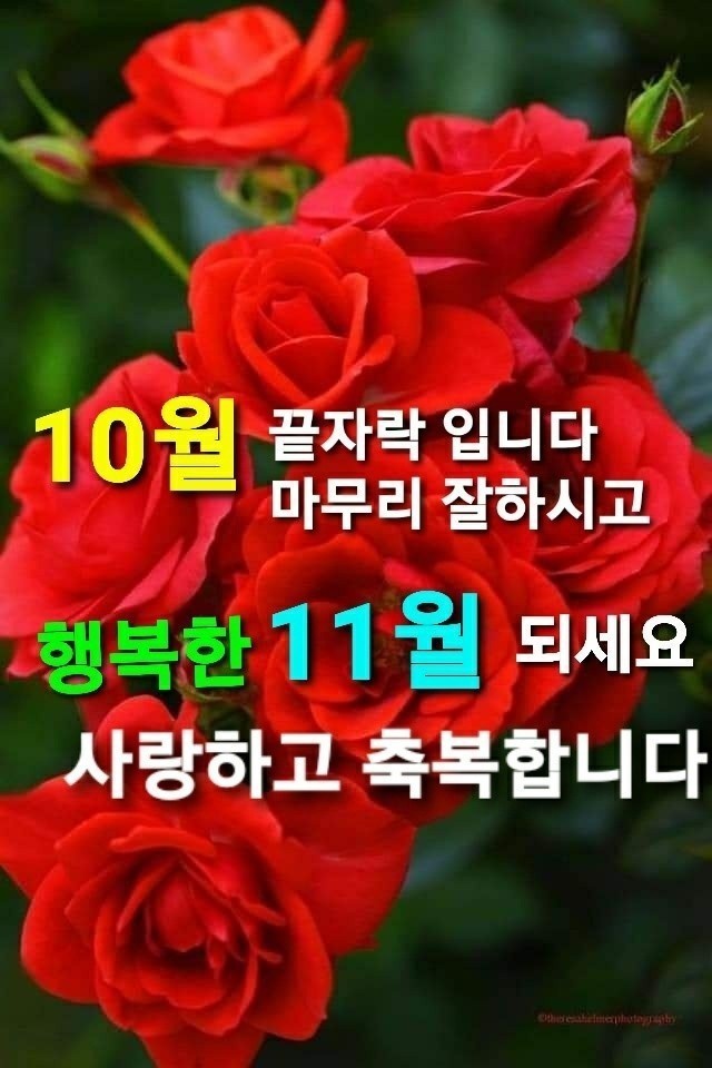 10월 마무리 잘하세요