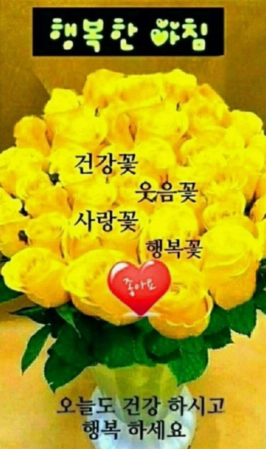 행복한 아침입니다~~~ 오늘도 좋은하루되세요 ^^