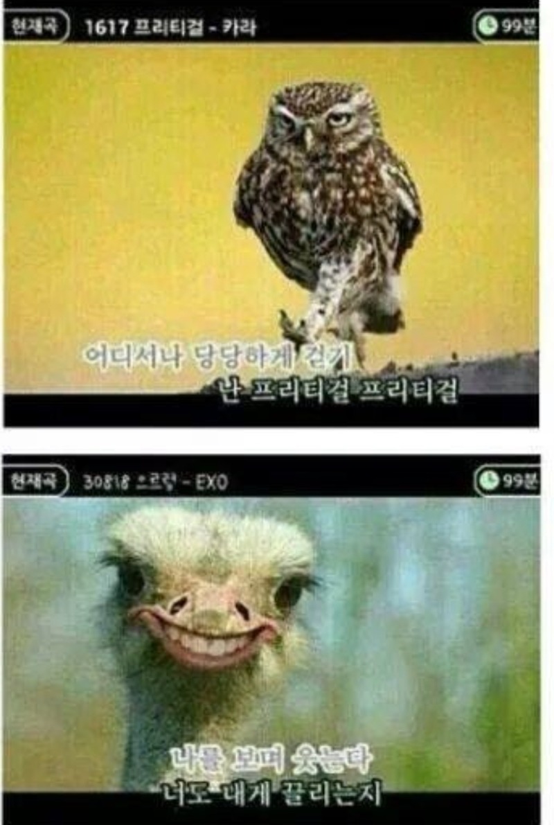 ㅋㅋㅋ아닠ㅋ