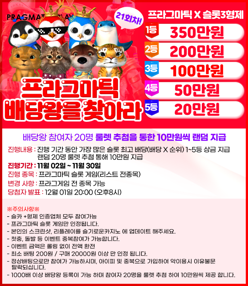 11월 02일 21회차 배당왕 시작 !!