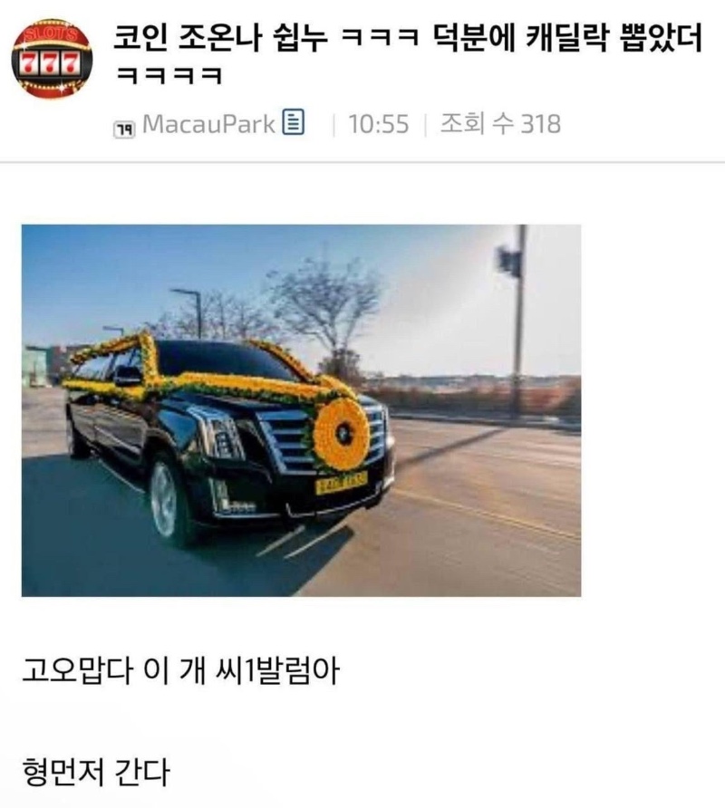 코인 쉽네 코인으로 캐딜락 뽑았다