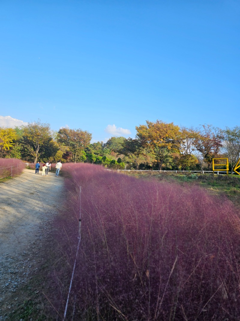 그냥 산책