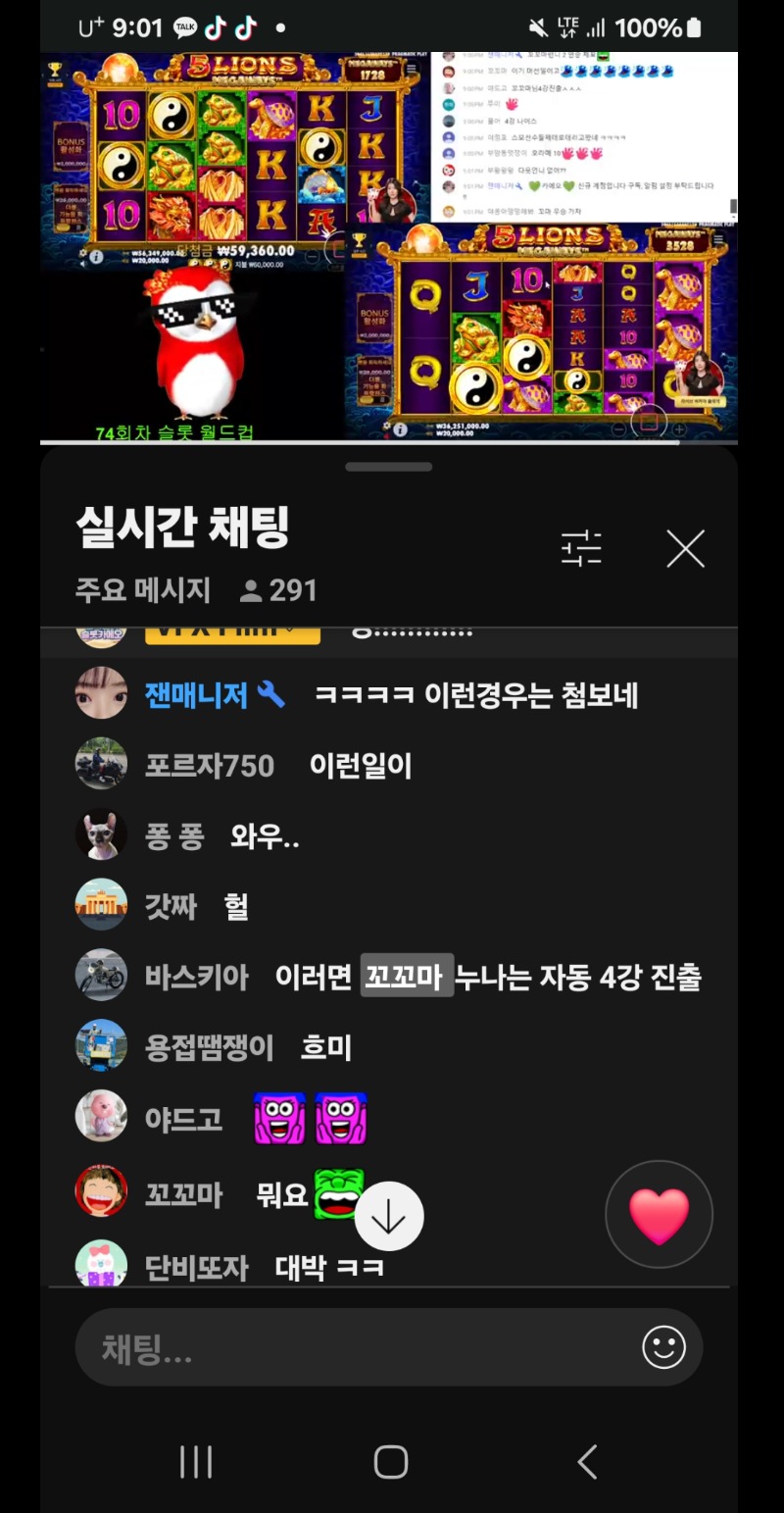 월드컵 4등