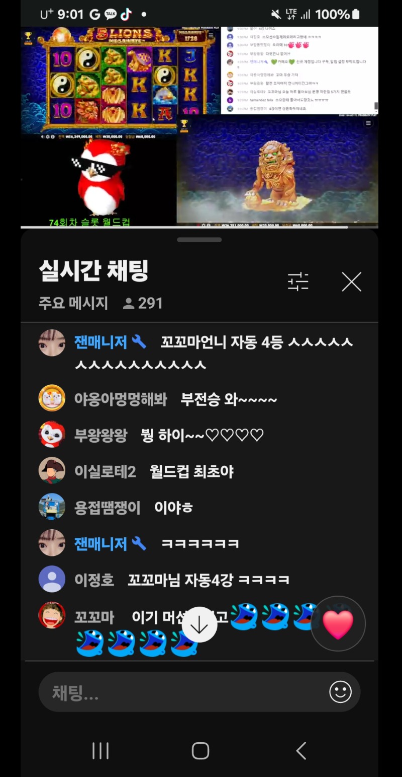 월드컵 4등