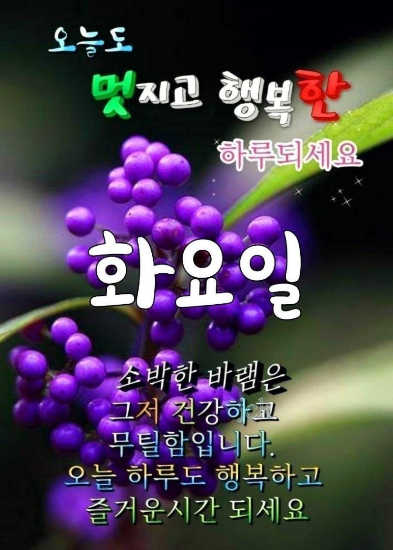 날씨가 춥네요~굿모닝~