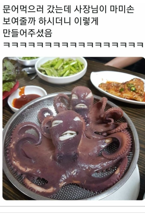 문어 마미손.ㅋㅋㅋㅋㅋ