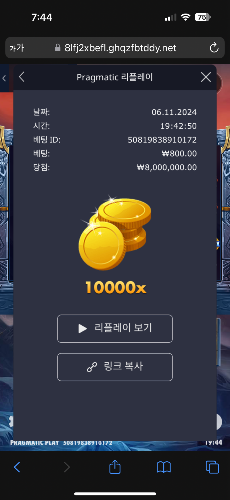 바이킹포지 10000배