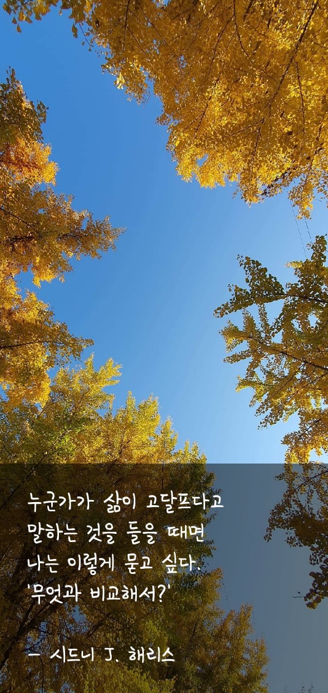 오늘도 고생하셨습니다