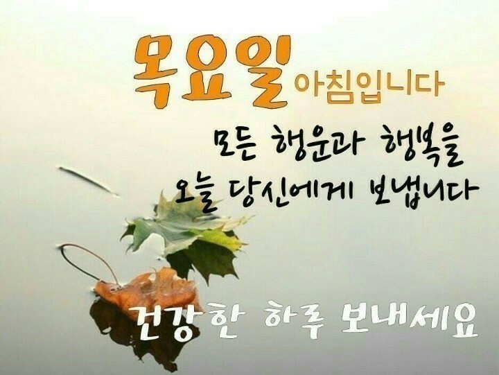 오늘은 입동  겨울준비하세요