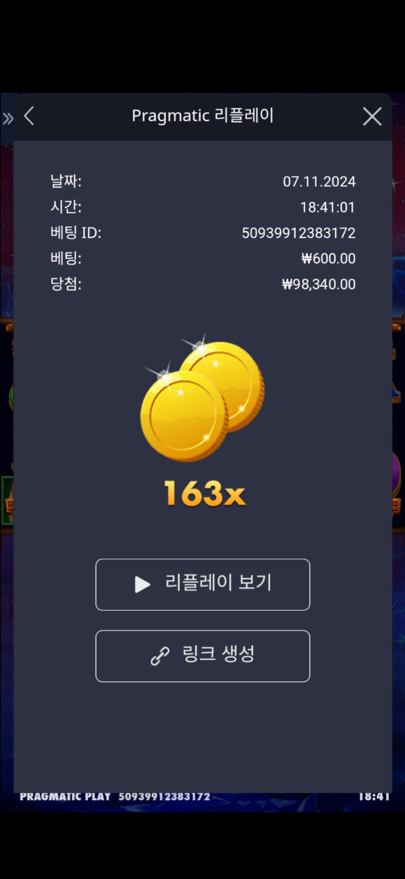 버메가 163배