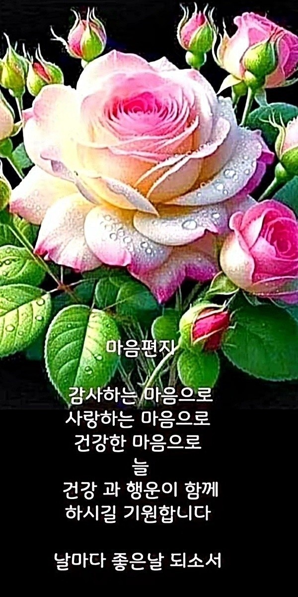 마음의 편지