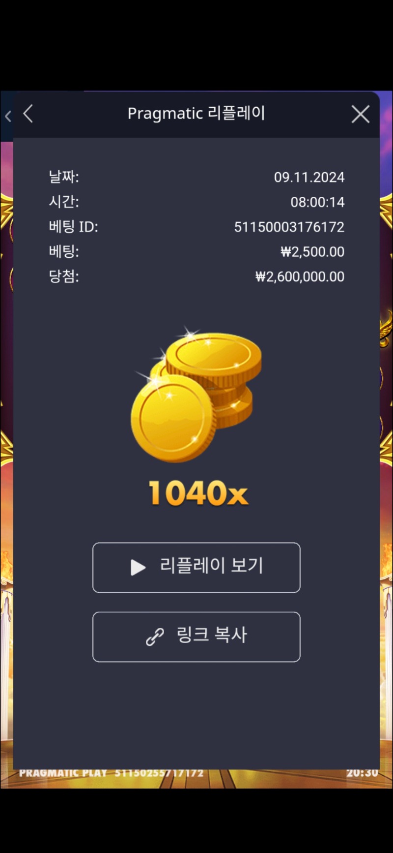 오림푸스1040배