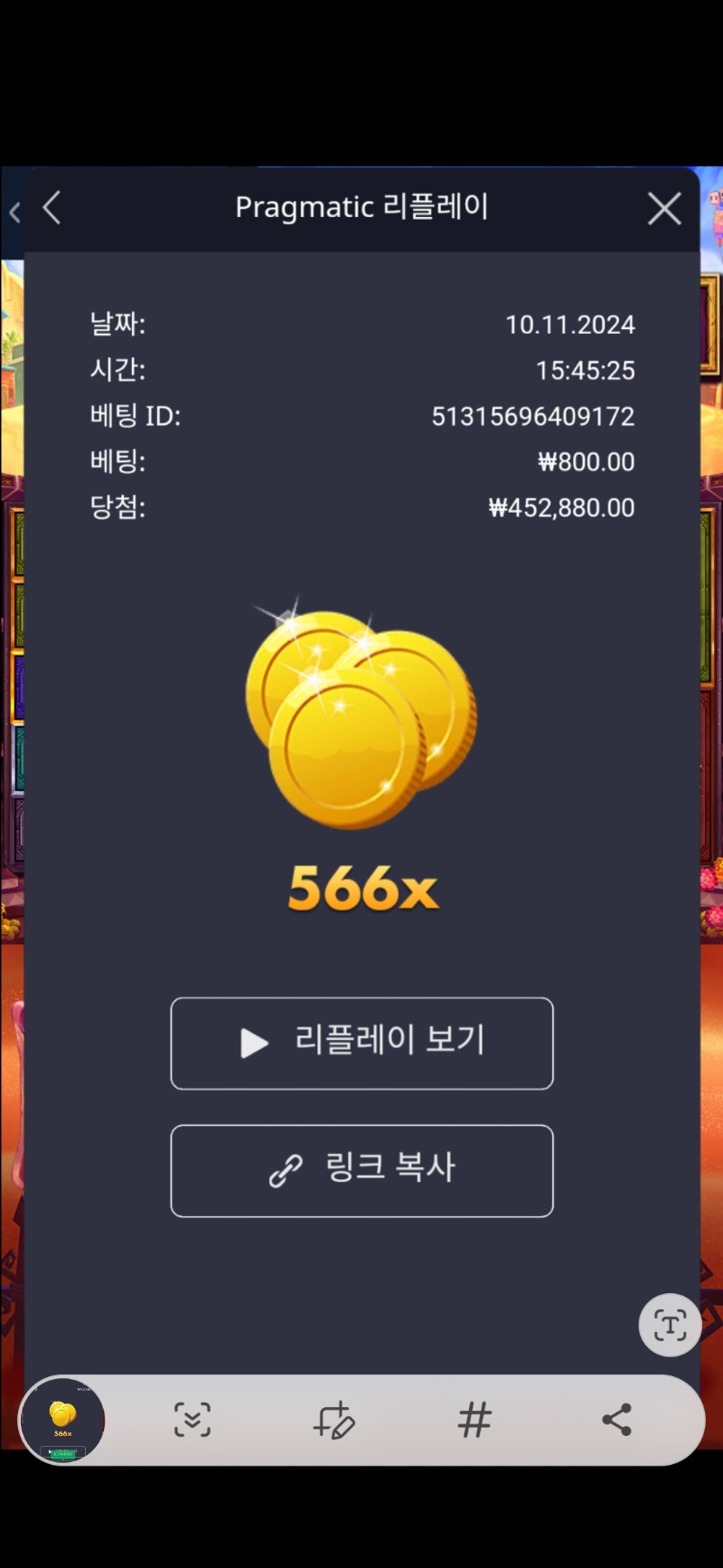 무에르 566배