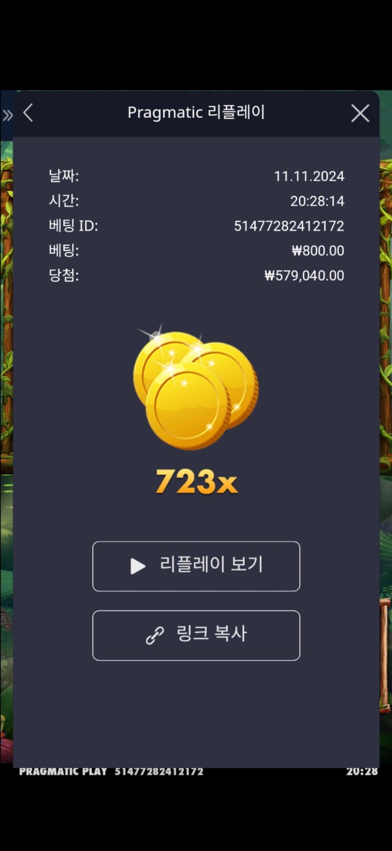 아마존 723배