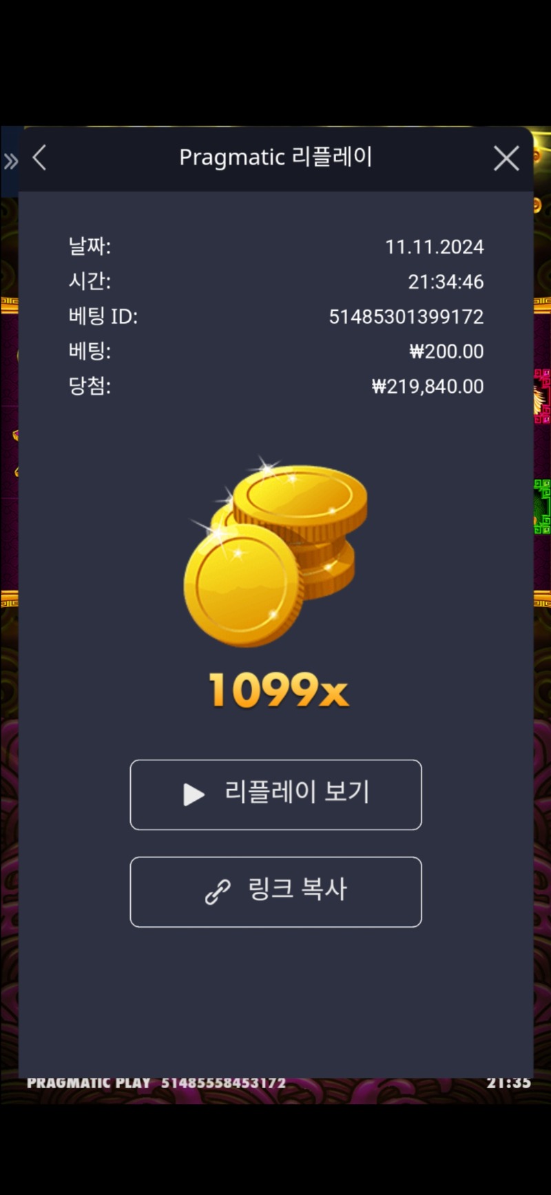 토라메 1099배