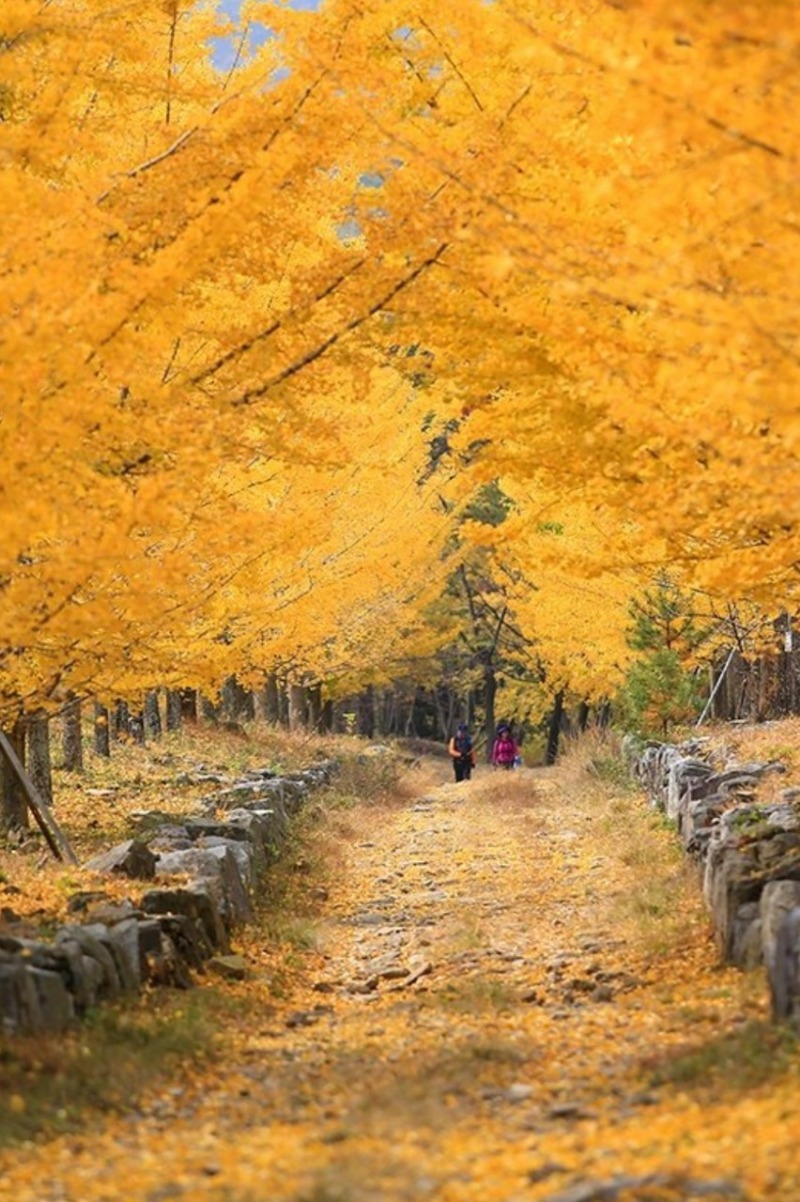 굿모닝~화요일 오늘도 전부 힘내세요