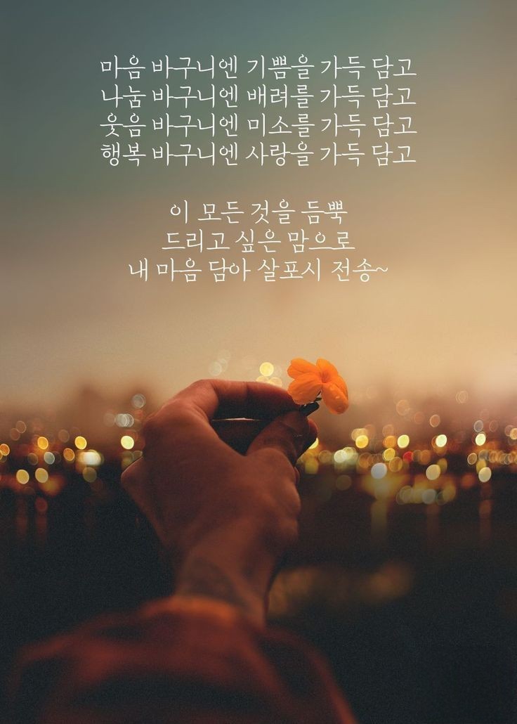 행복 바구니에 맥스전송 ~^^