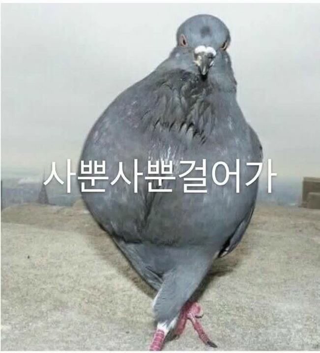 아~~ 열심히 잤네요 ㅋㅋ 맥스 먹으러 갑시다!