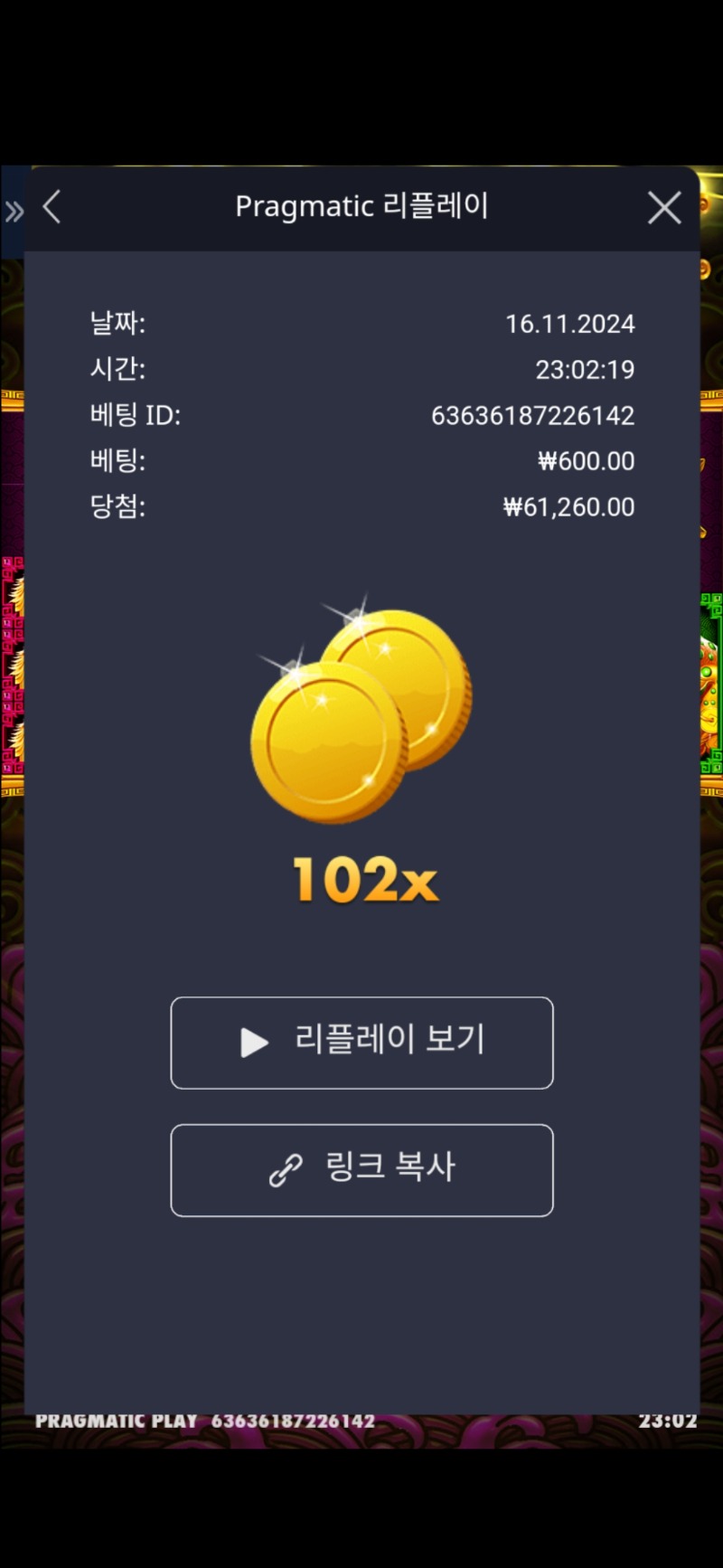 토라메 102배