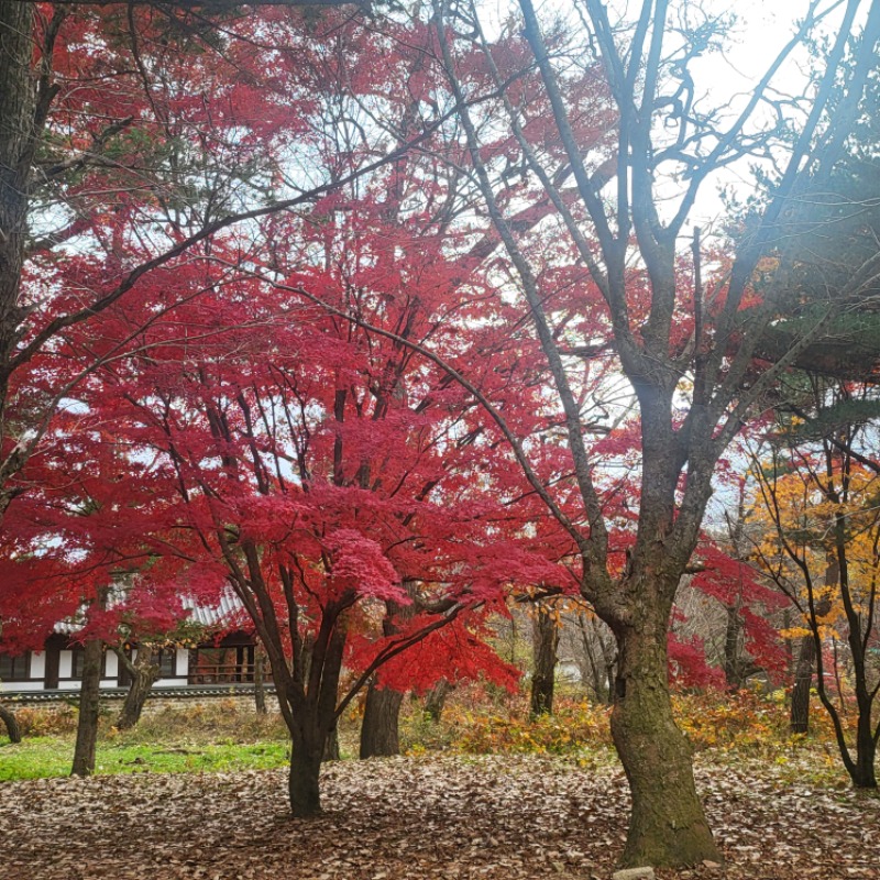 속리산