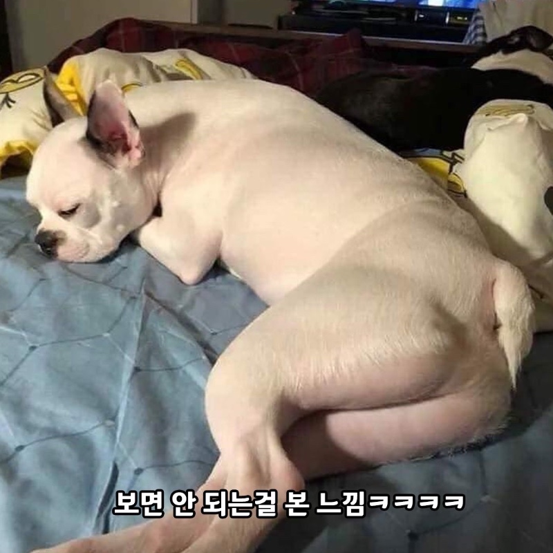 눈을 어디에 둬야 할지..